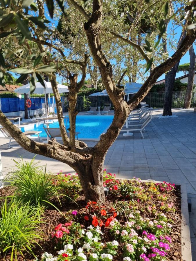 Blue Inn Residence E B&B Lido delle Nazioni Eksteriør billede